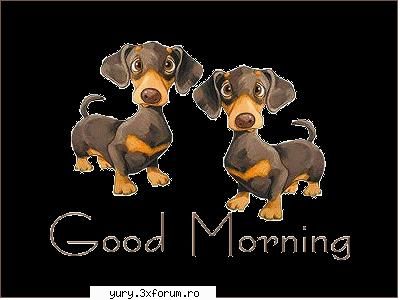 caini... dogz