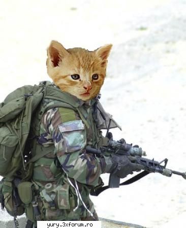 zombie cats catminator Bau-bau!