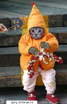 zombie cats loooool Bau-bau!