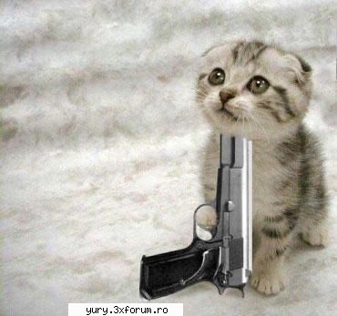 zombie cats janie's got gun! Bau-bau!