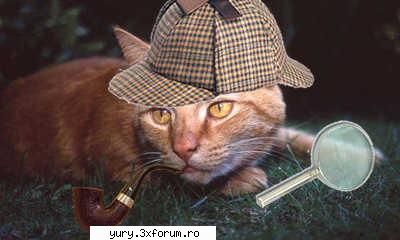 zombie cats sherlock holmes Bau-bau!