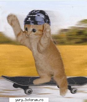 zombie cats skating ... Bau-bau!