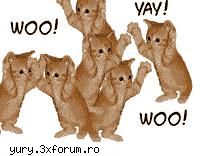 zombie cats jumpin' Bau-bau!