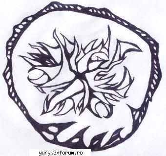 desene, chestii facute voi, aici original scan