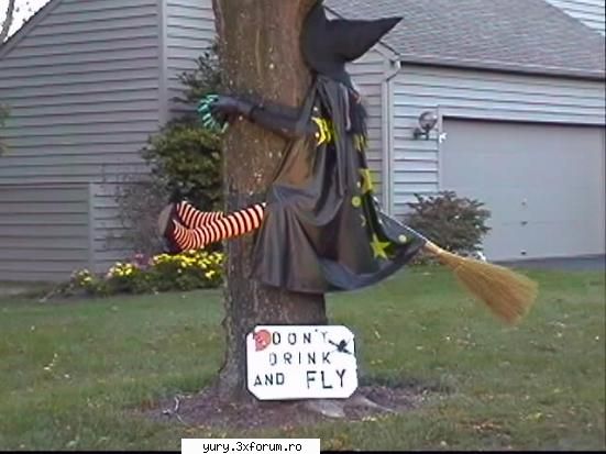 funny pics witck