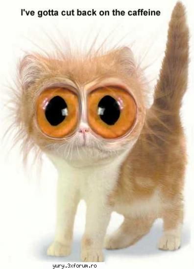 funny pics much coffe