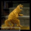funny pics garfield dancing