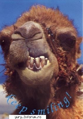 funny pics smile