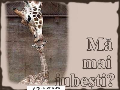 funny pics mai iubesti :?: