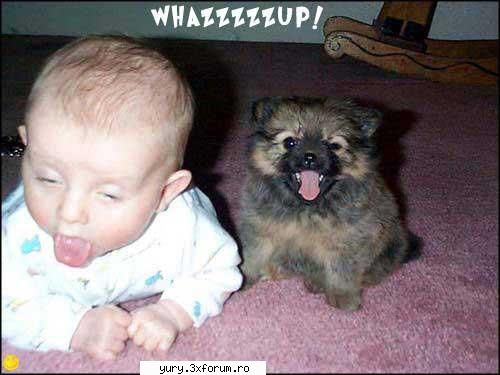 funny pics whazzzuup