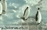 funny pics