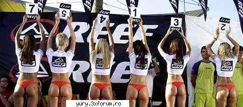 funny pics blonde