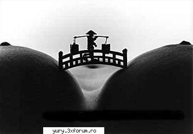 funny pics pod