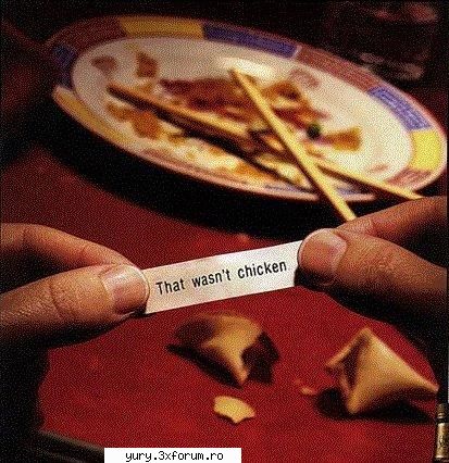 funny pics wtf???