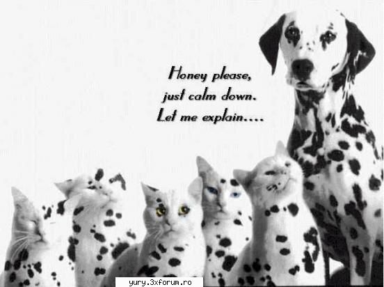 funny pics hmmm...