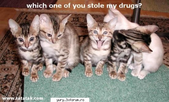 funny pics oare kre