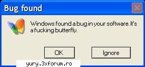 funny pics